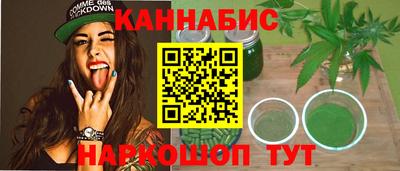 гидра Заводоуковск