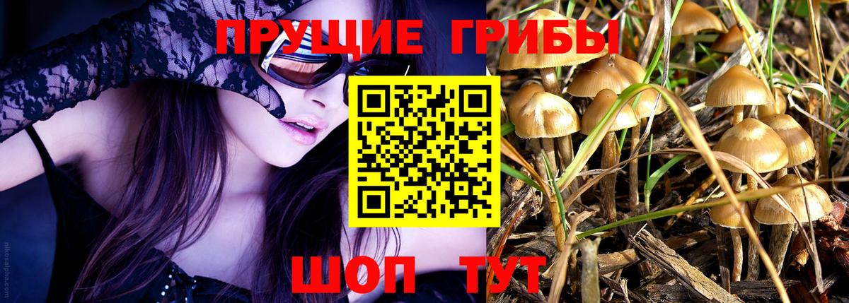 Псилоцибиновые грибы прущие грибы Ликино-Дулёво